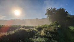 Un paysage champêtre, à la fois ensoleillé et brumeux
