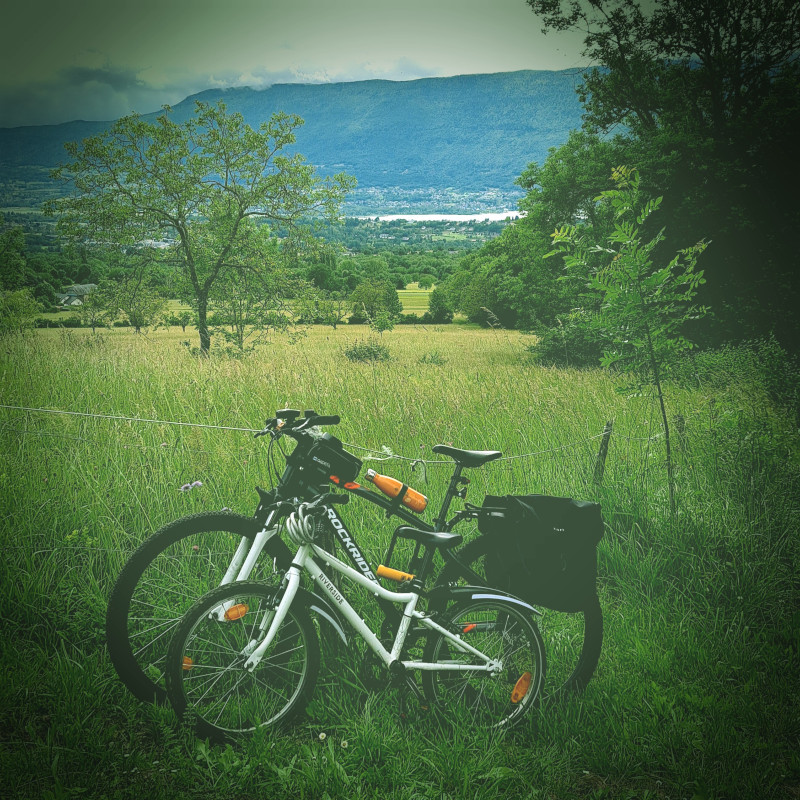 Deux VTT pos&eacute; contre la cl&ocirc;ture d'un champ. La photo a &eacute;t&eacute; trait&eacute;e avec un effet qui lui donne un c&ocirc;t&eacute; vintage